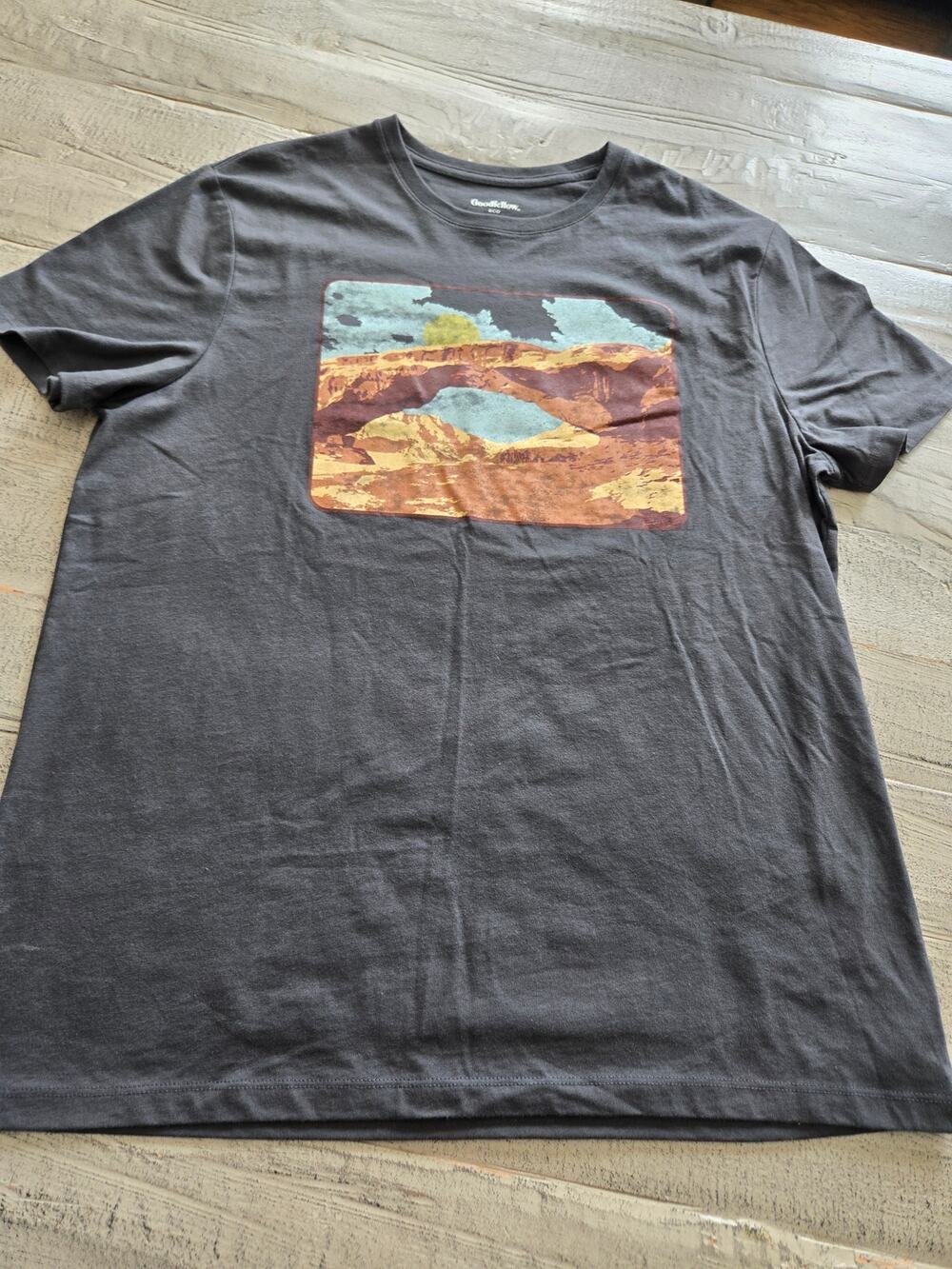 Goodfellow & Co T-Shirt Mens Large Charcoal Gray Landscape Graphic Tee